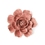 CHAMPAGNE PINK ROSE