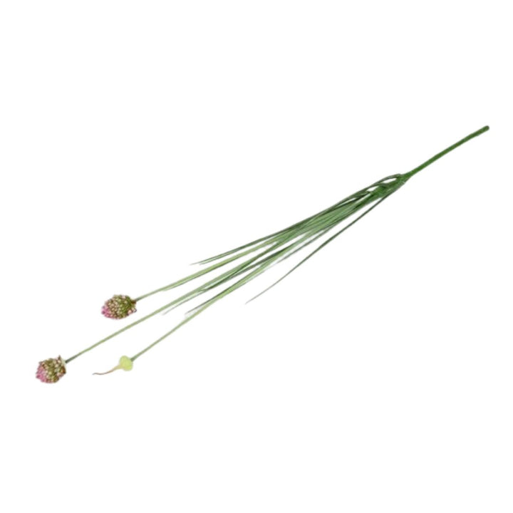 BARBARA - KUNSTIG BLOMST - ALLIUM DE804456 - ROSA/GRØN