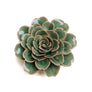 BOHO GREEN ROSE