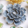 PASTEL BLUE ROSE