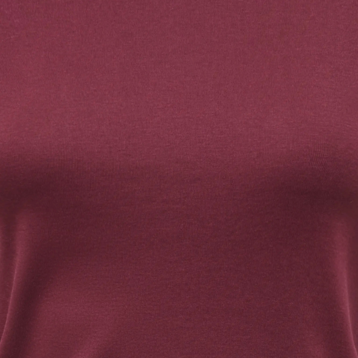 ONLY - T-SHIRT - BINA 15390610 - WINDSOR WINE/BISCOTFI CONTRAST